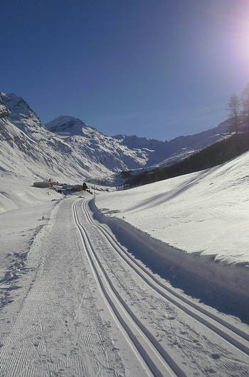 Ski-Langlaufen