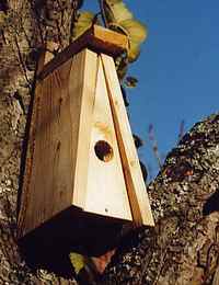 Vogelhäuschen basteln