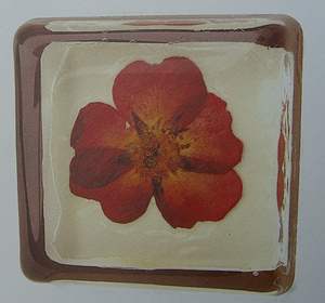  Briefbeschwerer 