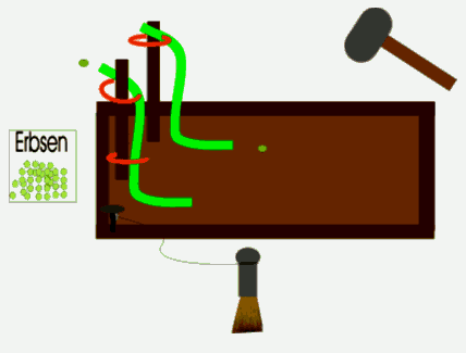  Erbsenkillermaschine (Erbsenbahn für Kindergeburtstage und Feste)