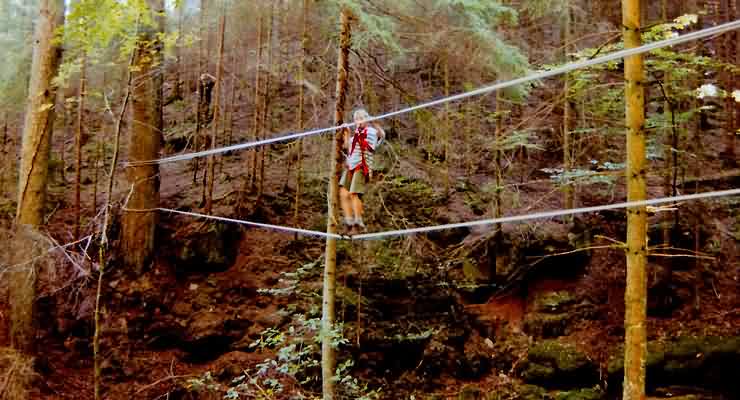 Mutprobe: gesichert über eine Seilbrücke in luftiger Höhe balancieren.