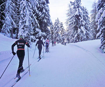 Ski-Langlaufen