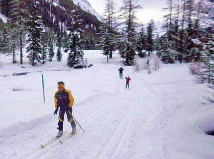 Ski-Langlaufen