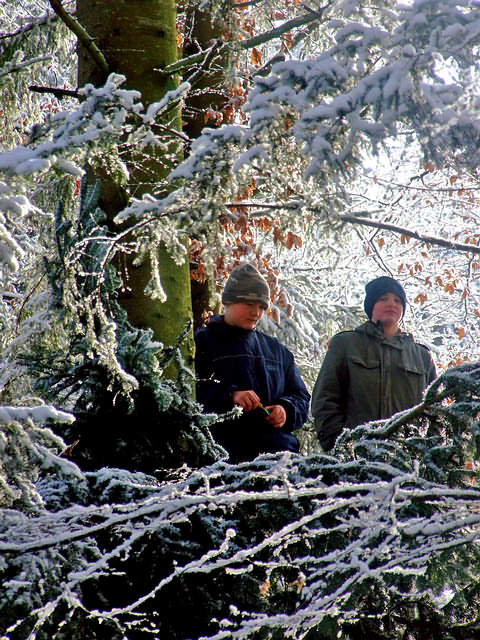 Geländespiele bei Schnee im Wald