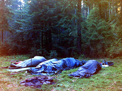 Bei einer Wanderung im Schwarzwald auf einer Waldlichtung im Gras geschlafen.