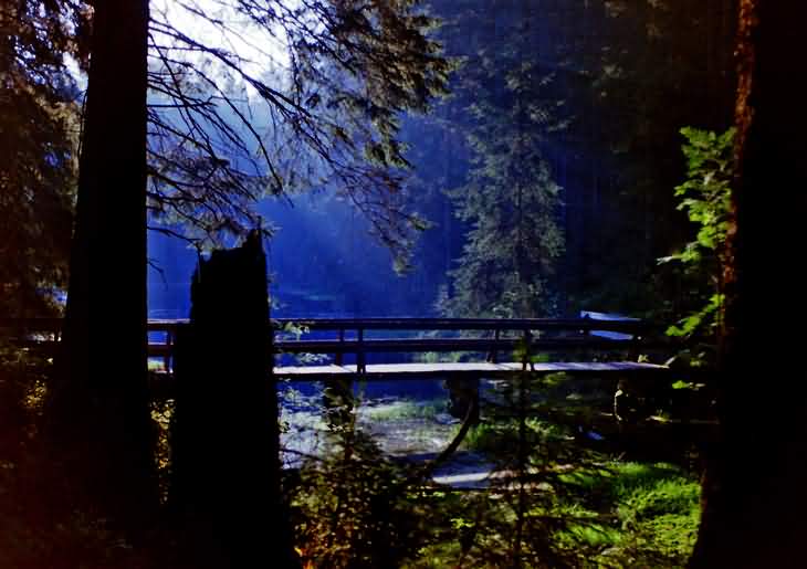 Mitten im Wald an einem See übernachtet.