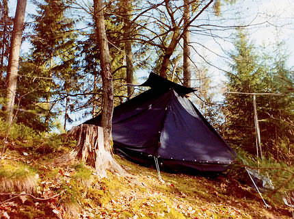 Die Donnerbalken-Kohte im Wald