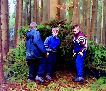 Ein Lager im Wald aus ein paar sten und Tannenzweigen gebaut.